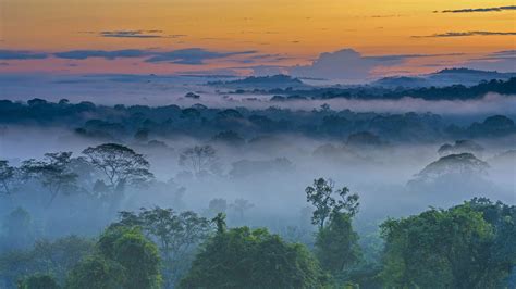 Bing HD Wallpaper May 14, 2021: A misty morning in Brazil - Bing Wallpaper Gallery