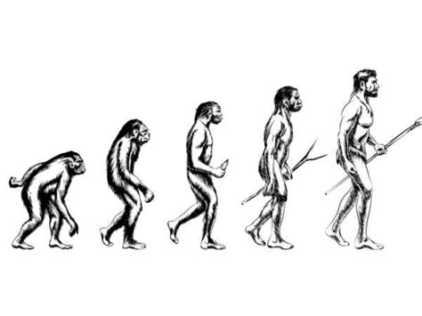 Human Evolution: From Monkey to Man in 4 Stages - TV Health