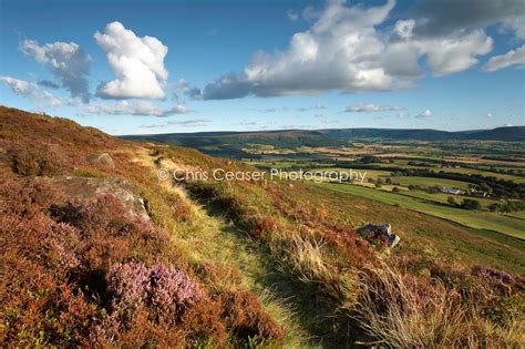 Pathways, Cleveland Hills - Chris Ceaser Photography