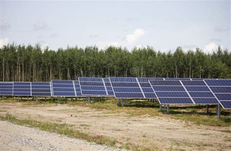 Beautiful Solar Panel Farm Ecology Power Conservation Stock Photo - Image of fuel, future: 170753198