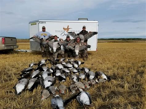 Canada Goose Hunting