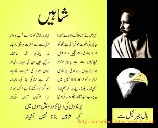 Allama Iqbal Poetry For Students