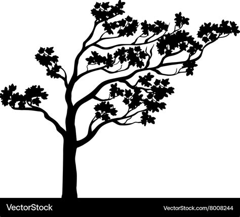 Tree sakura silhouette Royalty Free Vector Image