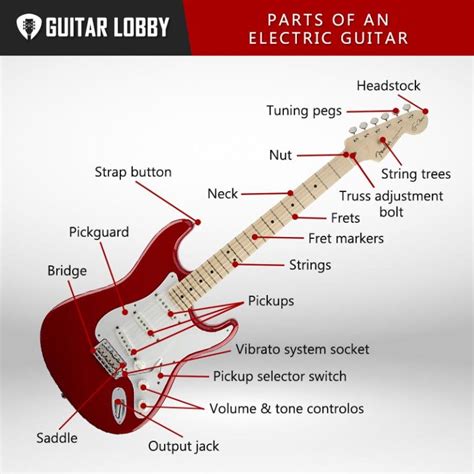 Parts of an Electric Guitar (with Diagram & Videos) 2023 - Guitar Lobby