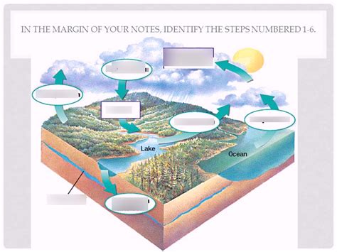 Water Cycle, Carbon cycle Diagram | Quizlet