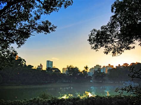 Os 10 melhores parques de São Paulo - CicloVivo