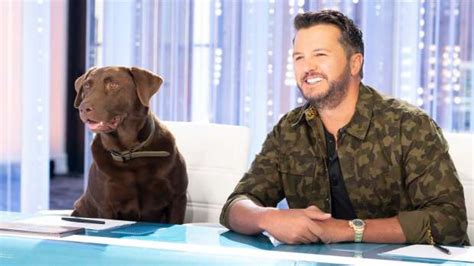 Luke Bryan's Chocolate Lab Steals Katy Perry's Heart on American Idol ...