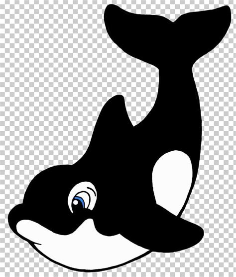 Killer Whale Cartoon Drawing PNG, Clipart, Black And White, Carnivoran ...