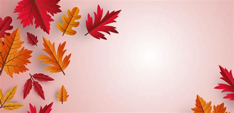 Autumn leaves background design with copy space vector illustration ...