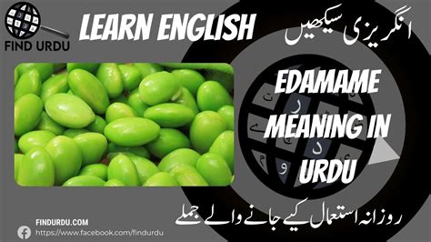 Edamame Meaning in Urdu | Edamame Kis Ko Kehte Hain? - YouTube