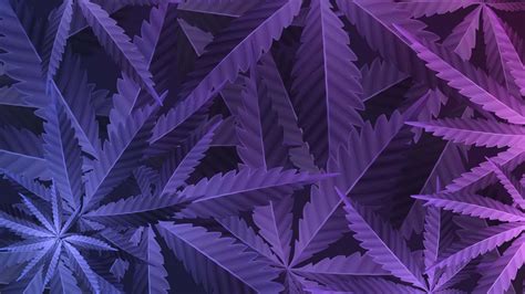 Top 999+ Cannabis Wallpapers Full HD, 4K Free to Use