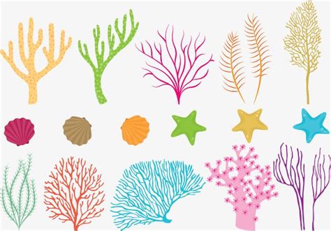 Vector Colored Coral | Coral reef art, Fish vector, Coral reef pictures