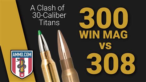 300 Win Mag vs 308 Caliber Comparison: A Clash of 30-Caliber Titans - YouTube