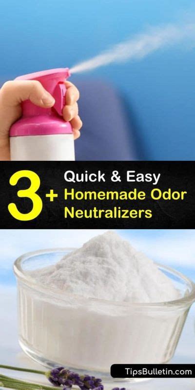 3+ Quick & Easy Homemade Odor Neutralizers in 2020 | Pet odor remover ...