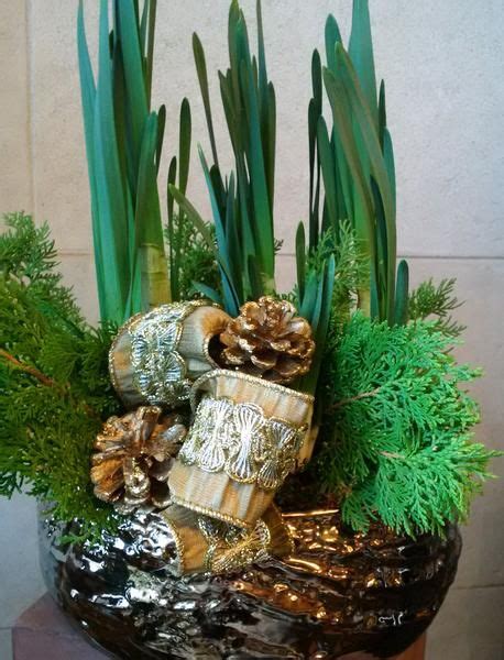 Paperwhite Narcissus | Corporate flowers, Holiday, Paperwhites