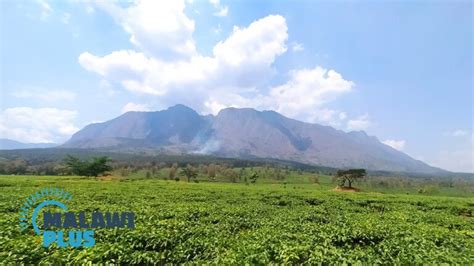 Hiking Mount Mulanje, the highest mountain in Malawi｜Malawi Travel and ...