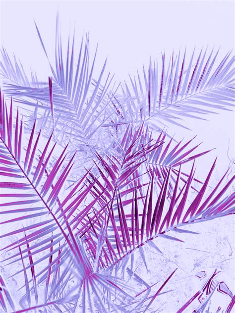 Iphone pastel purple aesthetic wallpaper hd - limoeve