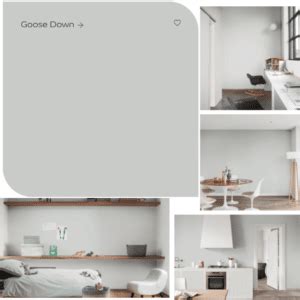 What Colours Go With Dulux Goose Down? - Sleek-chic Interiors