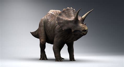 realistic triceratops 3d model