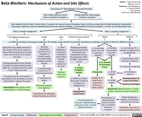 Beta blockers mechanism of action and side effects calgary guide – Artofit