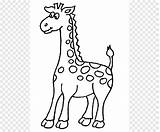 Buku Mewarnai Jerapah Afrika Barat Menggambar Dewasa Gambar S  sketch template