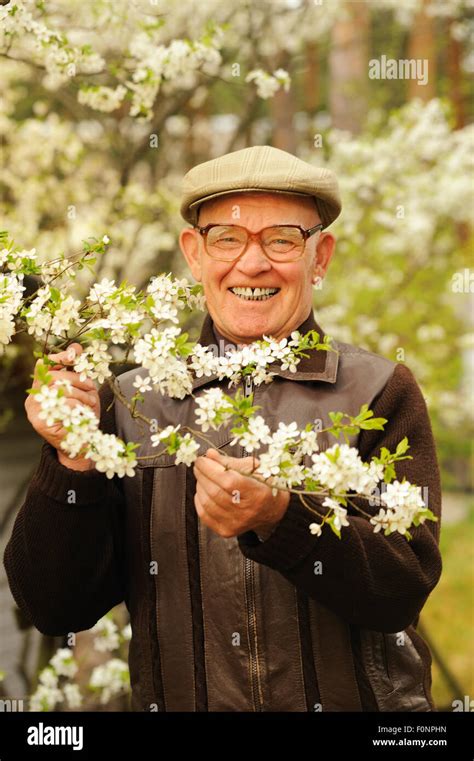 Happy elderly man in the garden Stock Photo - Alamy