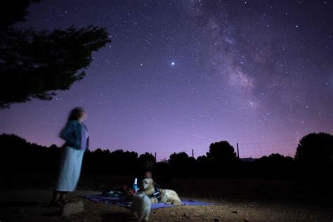 Meteor Showers in 2021 That Will Light Up Night Skies - The New York Times