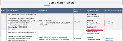 How to check RERA status in Delhi?