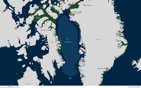 The Narwhal's Tale: Surviving Sea Ice Change | NOAA Climate.gov