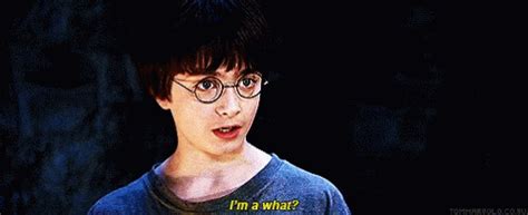 Harry Potter GIF - Harry Potter Wizard - Discover & Share GIFs