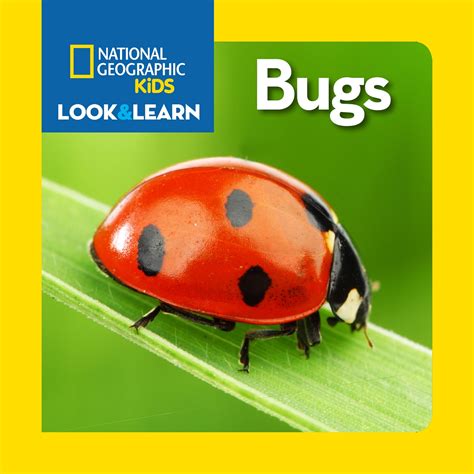 National Geographic Kids Look and Learn: Bugs by NATIONAL GEOGRAPHIC KIDS - Penguin Books New ...