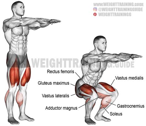 Bodyweight squat exercise instructions and video | Weight Training ...