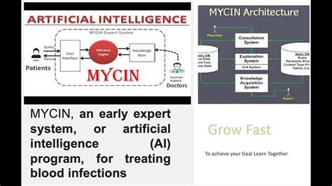 Mycin Expert System - YouTube