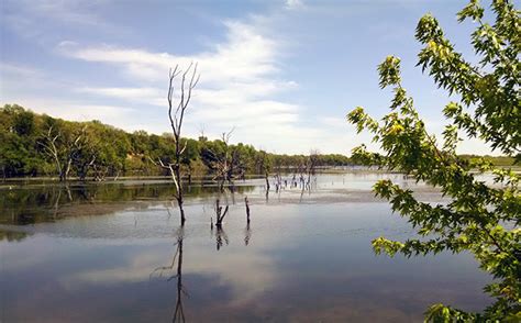 Brushy Creek State Recreation Area | Iowa Parklands