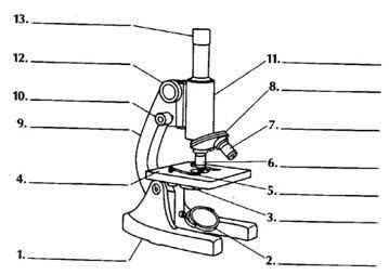 Parts of a Microscope Diagram | Quizlet