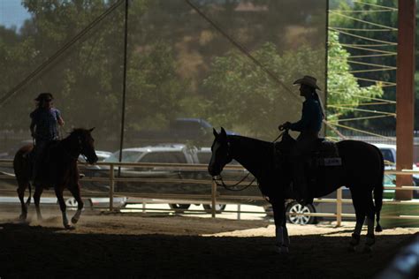 All American Quarter Horse Congress Archives - Quarter Horse News