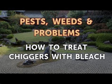 How to Treat Chiggers With Bleach - YouTube