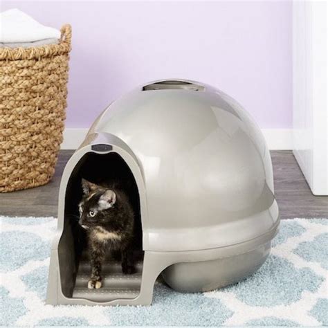 5 Best Dog Proof Litter Boxes: How to Keep Dogs Away From Cat Poop!