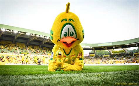 FC Nantes | UN MATCH, UNE IMAGE - Riri, mascotte rayonnante