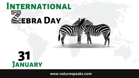 International Zebra Day - 2023 - Nature Speakz