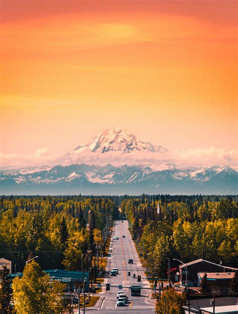 Summer in Alaska. : r/pics