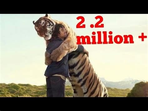 Animals Hugs to their Friends Humans its Emotional - YouTube