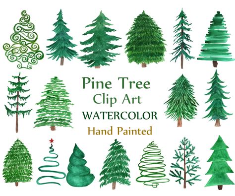 Watercolor Pine Trees Clipart: CHRISTMAS TREE | Etsy