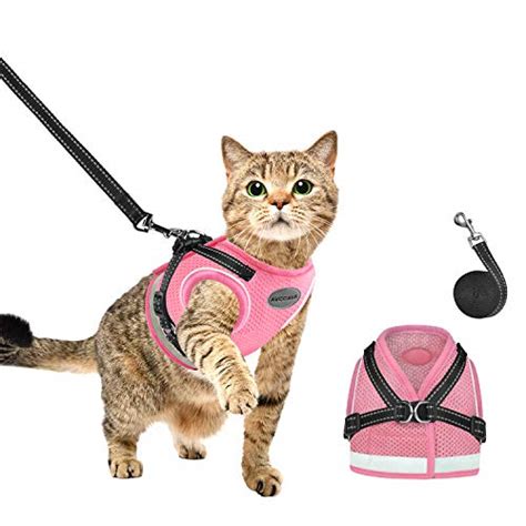 Best Cat Harness for Hiking - Best Family Pets