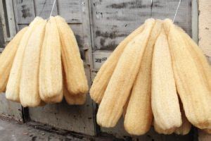 LUFFA: Start Growing the Sponge Plant - Freak of Natural