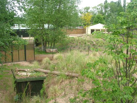 Cheetah enclosures at Chester Zoo June 2008 - ZooChat