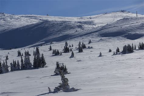 Vitosha Mountain, Bulgaria | Snowkite Sensation