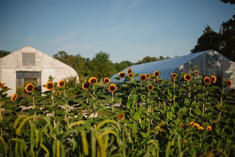 3 family-owned farms in Macomb to visit this year