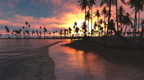 Sunset Palm Trees Wallpaper (62+ images)