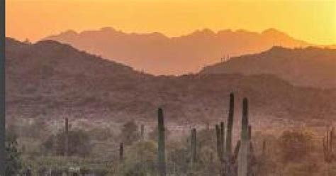 Sonoran Desert National Monument Brochure | Bureau of Land Management